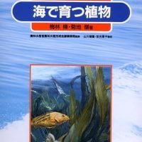 絵本「海で育つ植物」の表紙（サムネイル）