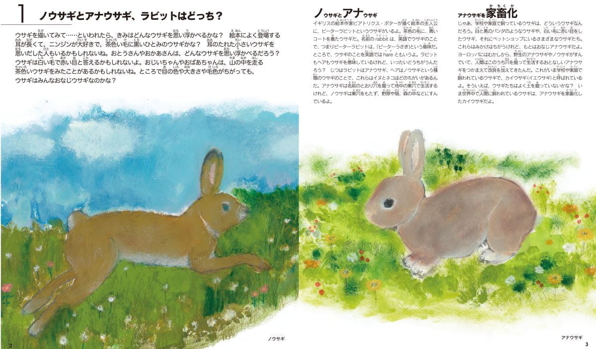 絵本「ウサギの絵本」の一コマ2