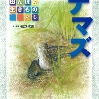 絵本「ナマズ」の表紙（サムネイル）