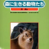 絵本「森と人間6　森に生きる動物たち」の表紙