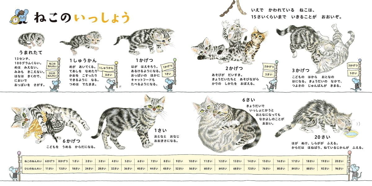 絵本「ねこのずかん」の一コマ3