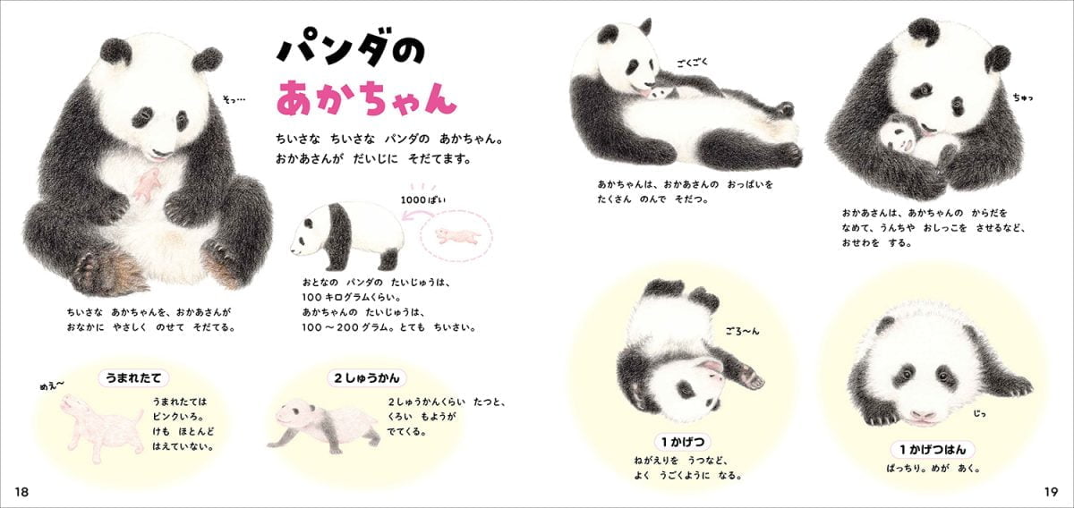 絵本「パンダのずかん」の一コマ4