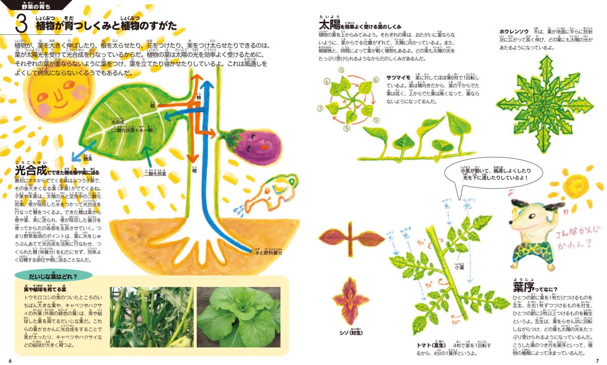 絵本「農作業の絵本3 野菜の栽培と診断」の一コマ4