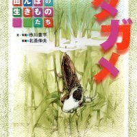 絵本「タガメ」の表紙（サムネイル）