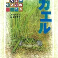 絵本「カエル」の表紙（サムネイル）