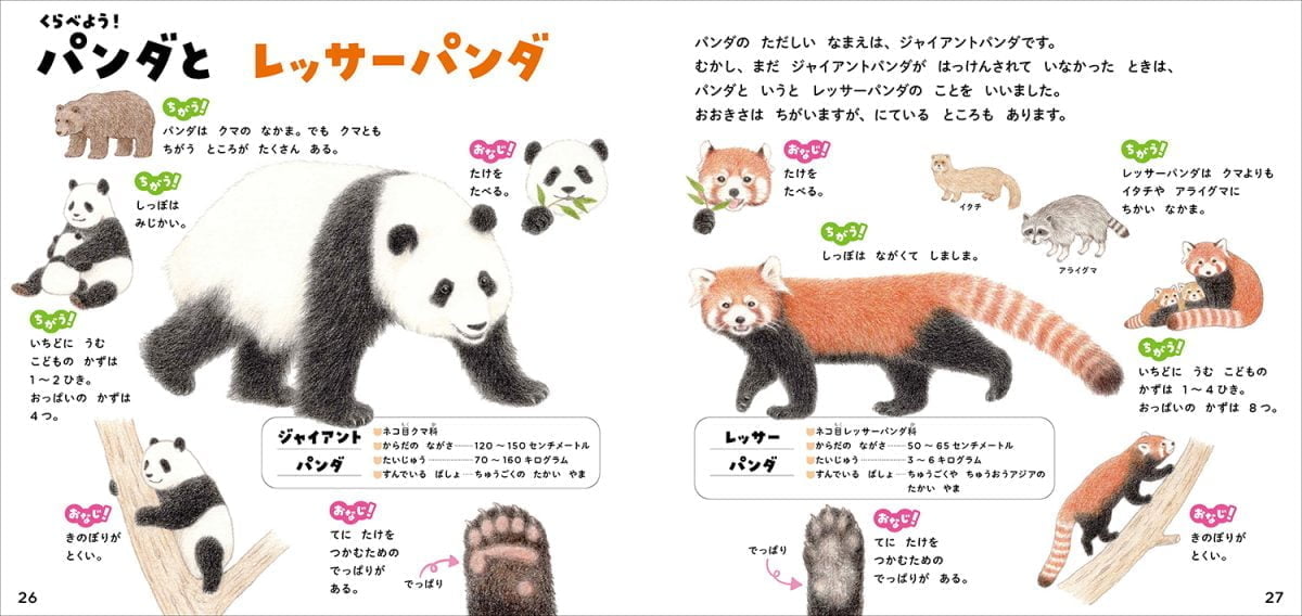 絵本「パンダのずかん」の一コマ5