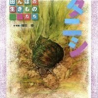 絵本「タニシ」の表紙（サムネイル）