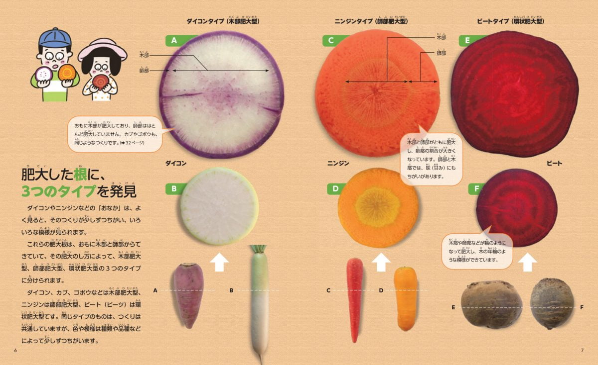 絵本「根や豆を食べるやさい」の一コマ2