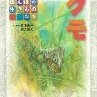 絵本「クモ」の表紙（サムネイル）