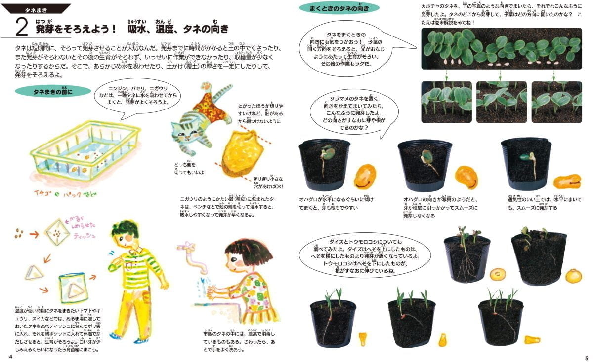 絵本「農作業の絵本2 タネまき・育苗・植えつけ」の一コマ3