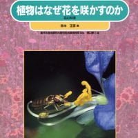 絵本「植物はなぜ花を咲かすのか」の表紙（サムネイル）