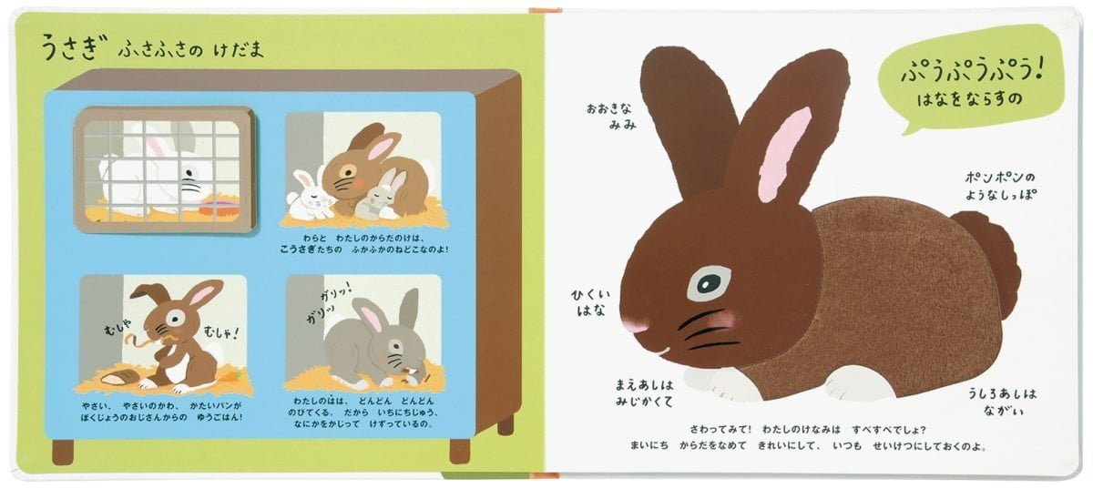 絵本「さわれるまなべる ぼくじょうのどうぶつ」の一コマ