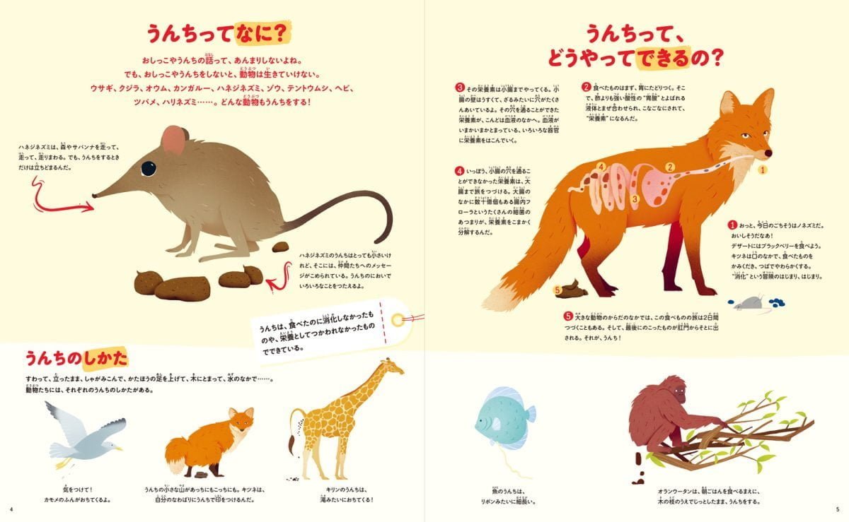 絵本「動物のうんちえほん」の一コマ