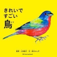 絵本「きれいですごい鳥」の表紙（サムネイル）