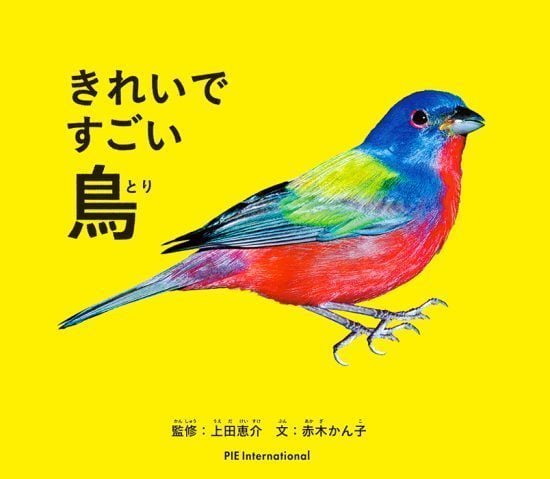 絵本「きれいですごい鳥」の表紙