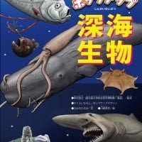 絵本「ポップアップ深海生物」の表紙（サムネイル）