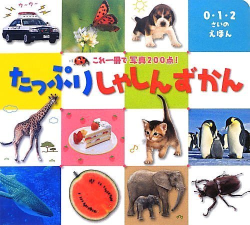 絵本「たっぷり しゃしんずかん」の表紙（詳細確認用）（中サイズ）