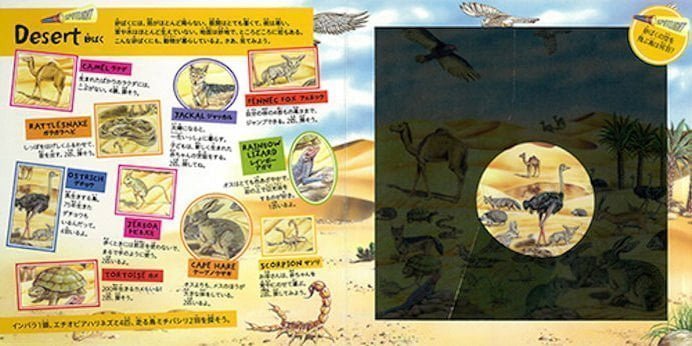 絵本「WILD ANIMAL HUNT 野生動物を探せ！」の一コマ