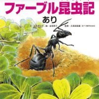 絵本「ファーブル昆虫記 あり」の表紙（サムネイル）