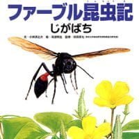 絵本「ファーブル昆虫記 じがばち」の表紙（サムネイル）