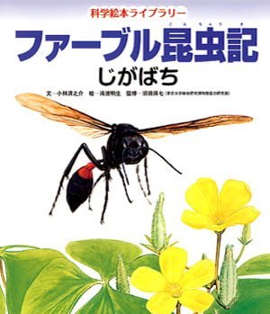 絵本「ファーブル昆虫記 じがばち」の表紙（中サイズ）