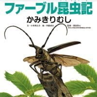 絵本「ファーブル昆虫記 かみきりむし」の表紙（サムネイル）