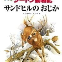 絵本「サンドヒルのおじか」の表紙（サムネイル）