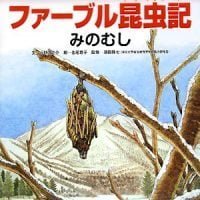 絵本「ファーブル昆虫記 みのむし」の表紙（サムネイル）