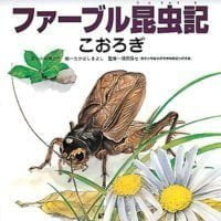 絵本「ファーブル昆虫記 こおろぎ」の表紙（サムネイル）