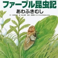 絵本「ファーブル昆虫記 あわふきむし」の表紙（サムネイル）