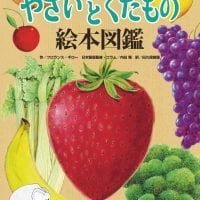 絵本「めくってみよう！ やさいとくだもの 絵本図鑑」の表紙（サムネイル）