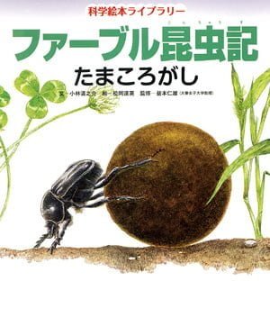 絵本「ファーブル昆虫記 たまころがし」の表紙（中サイズ）