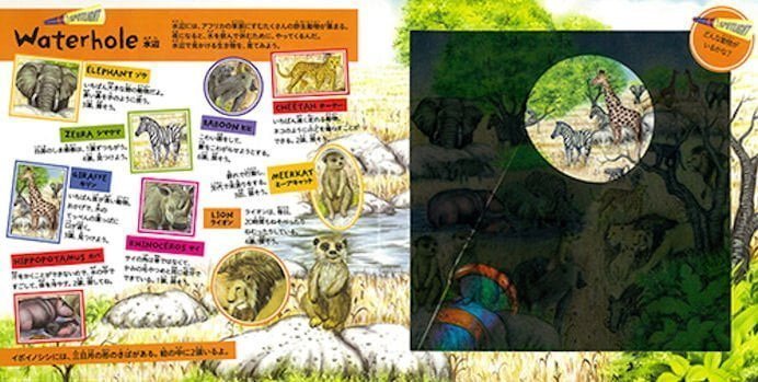 絵本「WILD ANIMAL HUNT 野生動物を探せ！」の一コマ2