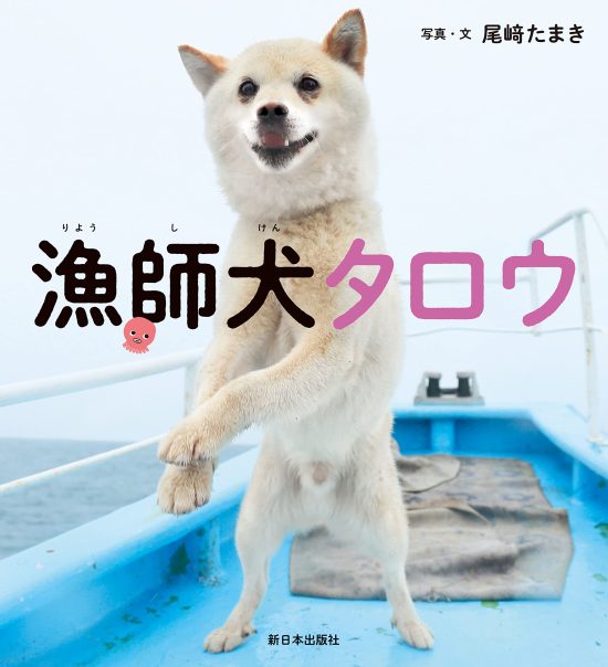 絵本「漁師犬タロウ」の表紙（全体把握用）（中サイズ）