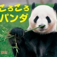 絵本「ころころパンダ」の表紙（サムネイル）