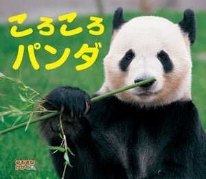 絵本「ころころパンダ」の表紙（中サイズ）