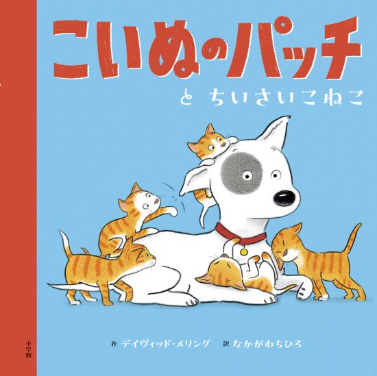 絵本「こいぬのパッチとちいさいこねこ」の表紙（中サイズ）