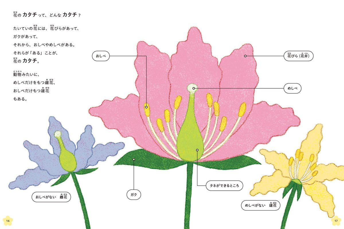 絵本「ひらひら ふさふさ 花のカタチ」の一コマ