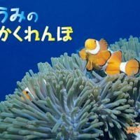 絵本「うみのかくれんぼ」の表紙（サムネイル）