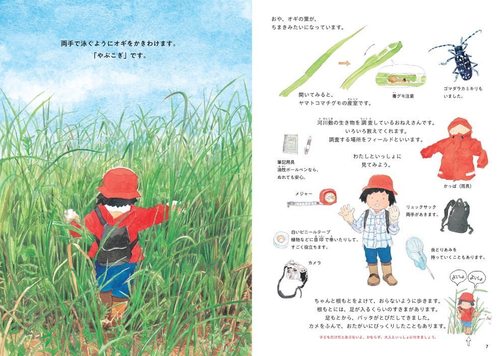 絵本「やぶこぎ 川辺の草はらと生き物たち」の一コマ3