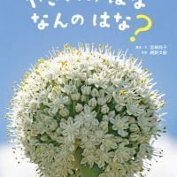 絵本「やさいのはな なんのはな？」の表紙（サムネイル）