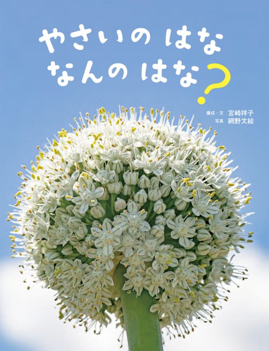 絵本「やさいのはな なんのはな？」の表紙（中サイズ）