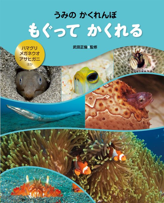 絵本「うみのかくれんぼ もぐってかくれる」の表紙（中サイズ）