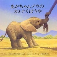 絵本「あかちゃんゾウのカミナリぼうや」の表紙（サムネイル）