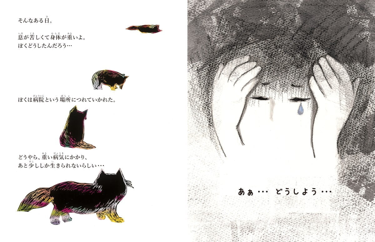 絵本「おかえりネル ～保護猫に起きた奇跡の物語～」の一コマ3