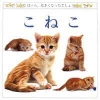 絵本「こねこ」の表紙（サムネイル）