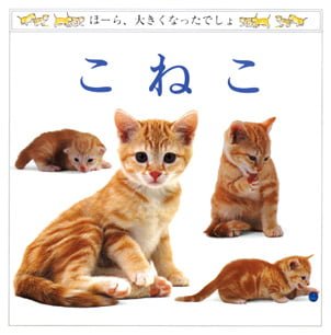 絵本「こねこ」の表紙（中サイズ）