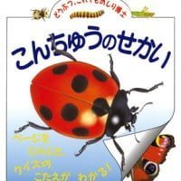 絵本「こんちゅうのせかい」の表紙（サムネイル）