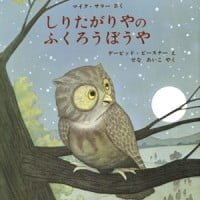 絵本「しりたがりやの ふくろうぼうや」の表紙（サムネイル）