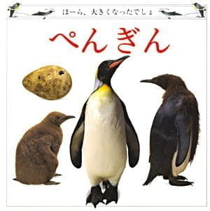 絵本「ぺんぎん」の表紙（詳細確認用）（中サイズ）